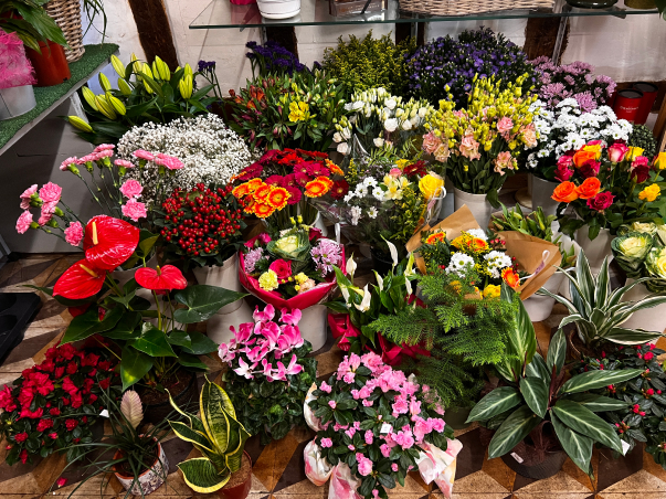 Boutique de fleurs et plantes à L'Isle en Dodon