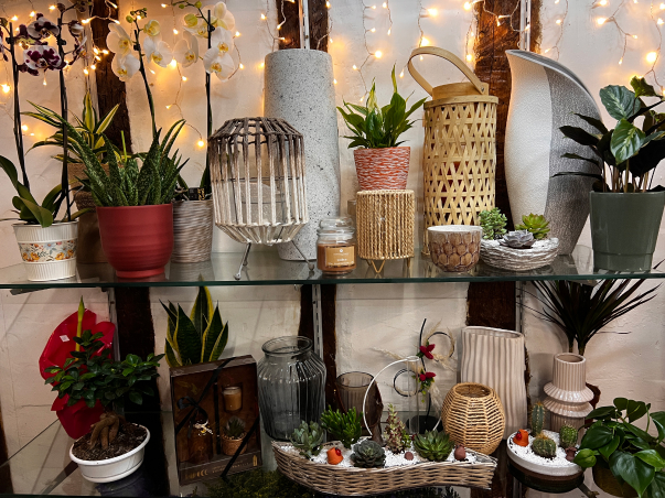 Décoration intérieure L'Isle en Dodon (31)