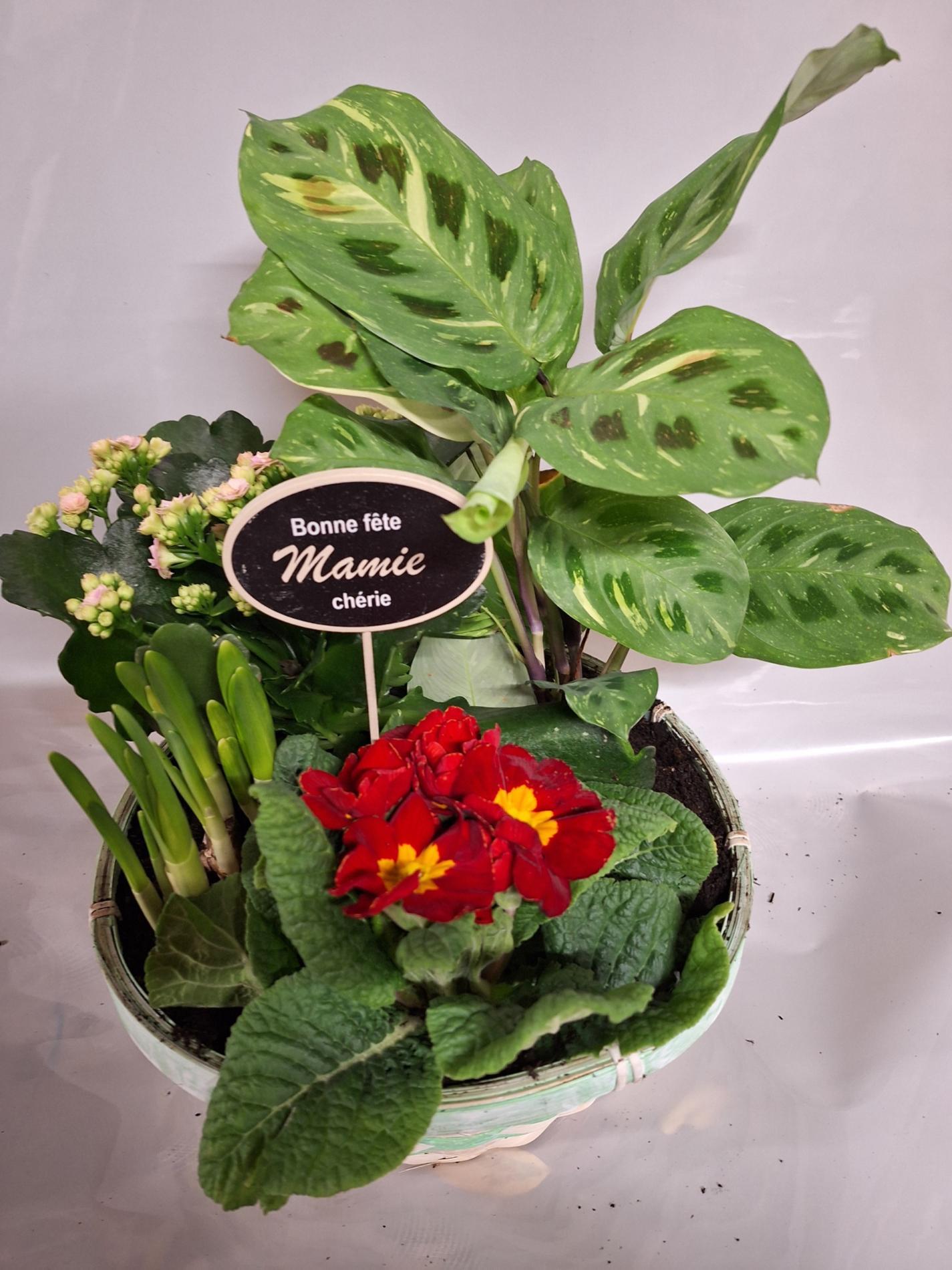 🌸 F&Ecirc;TE DES GRANDS M&Egrave;RES 🌸