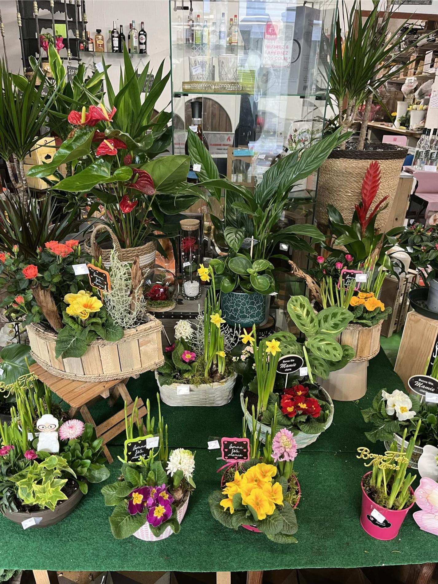 🌸 FÊTE DES GRANDS MÈRES 🌸